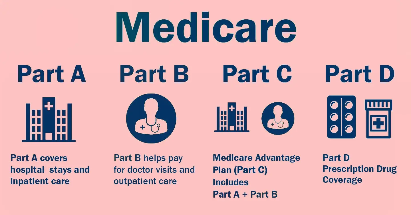 Infographic showing the four parts of Medicare: Part A covers hospital stays and inpatient care; Part B helps pay for doctor visits and outpatient care; Part C (Medicare Advantage) includes Part A and B coverage through private plans; Part D provides prescription drug coverage.